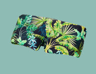 Tropics
