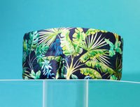 Tropics